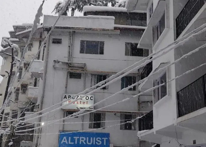 Abuzz Oxfordcaps Simla Hostel